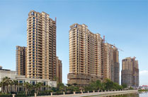 浙江省瑞安央玺